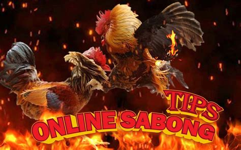 sabong logrohan|logrohan sa sabong download .